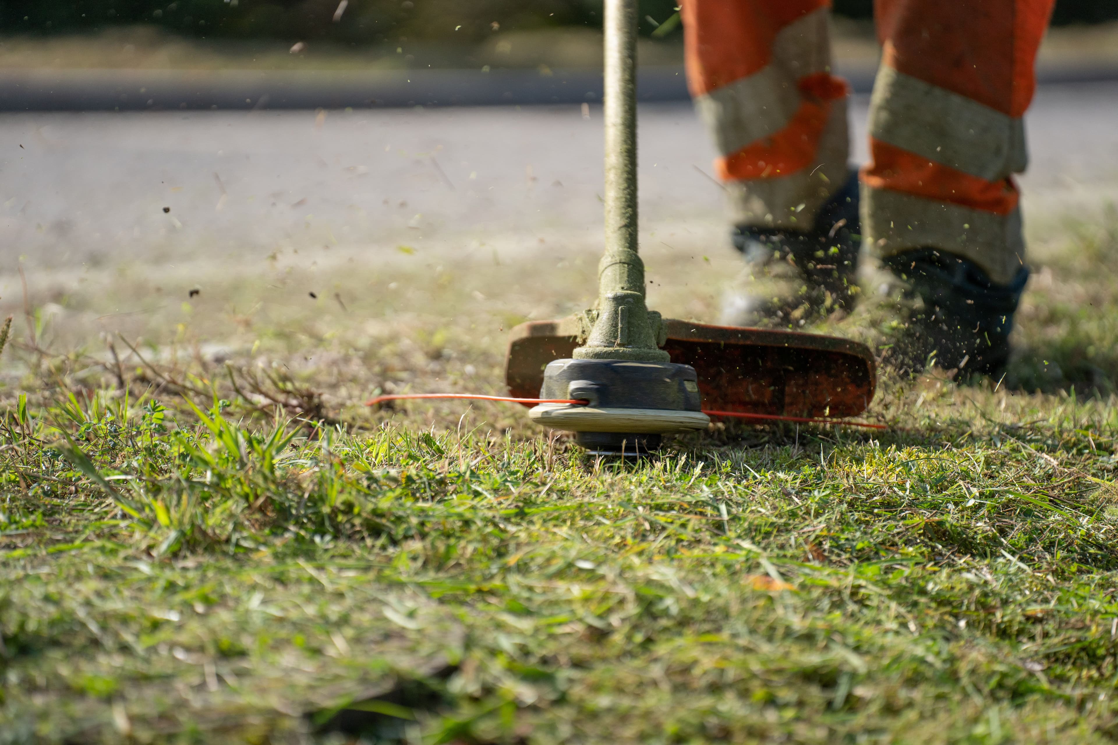 Placeholder image of freshly cut grass and tidy grounds outside a commercial warehouse